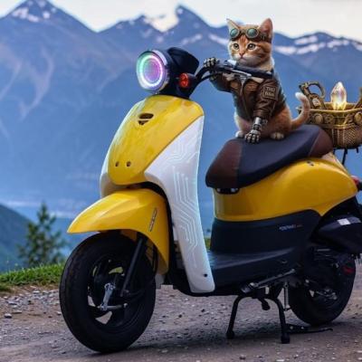 Review Bộ Tay Dên VOI Today 50: Dùng Tốt Hay Chỉ Đẹp Trong Ảnh?